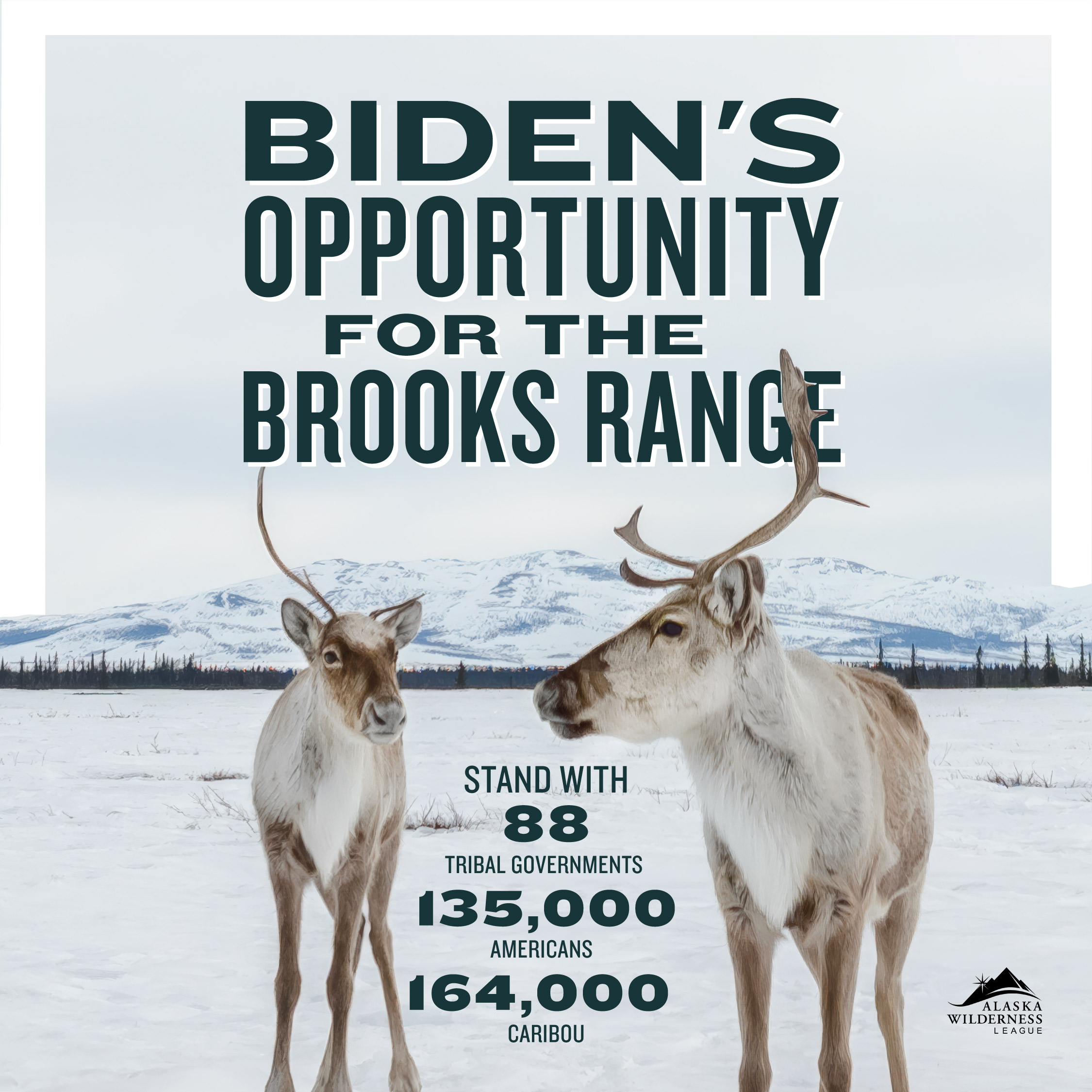 240220_AWL_Social_Wild-Posters_r1v3_sm_Social-Concept-01.1-1