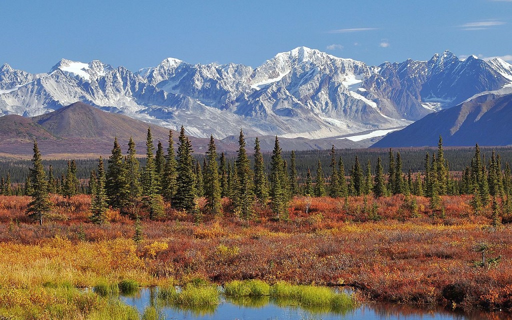 How To Survive In The Alaskan Wilderness