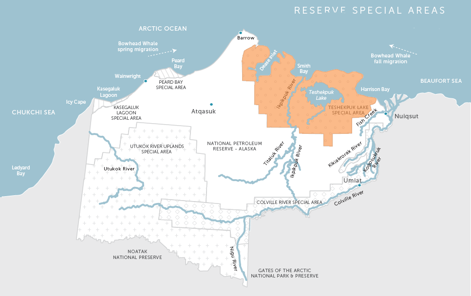 Teshekpuk Lake Special Area Alaska Wilderness League