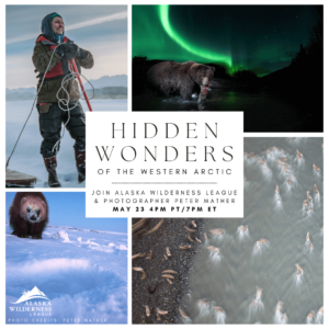 Hidden Wonders of the Western Arctic with photographer Peter Mather