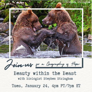 Beauty within the Beast: Secrets of Living in Harmony with Bears with Stephen F. Stringham, PhD
