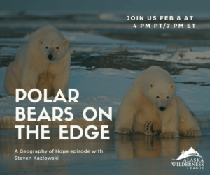 Polar Bears on the Edge with Steven Kazlowski
