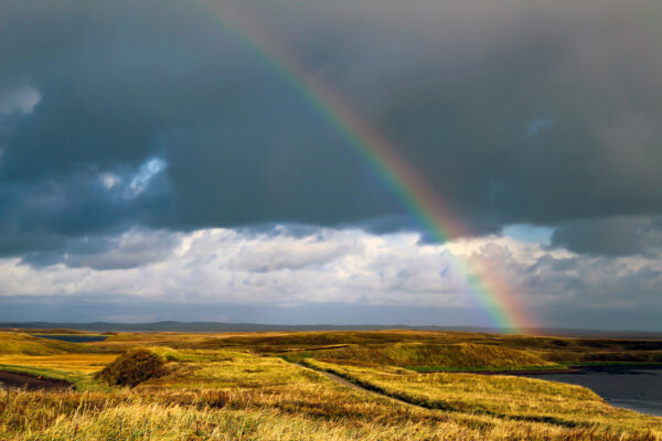 A rainbow arcs over the September grasses at Izembek National Wildlife Refuge.