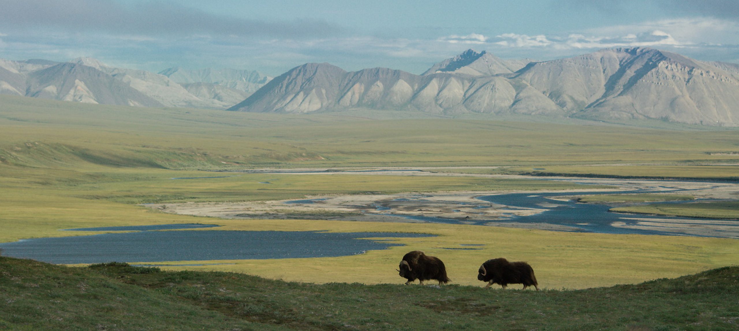 Arctic National Wildlife Refuge