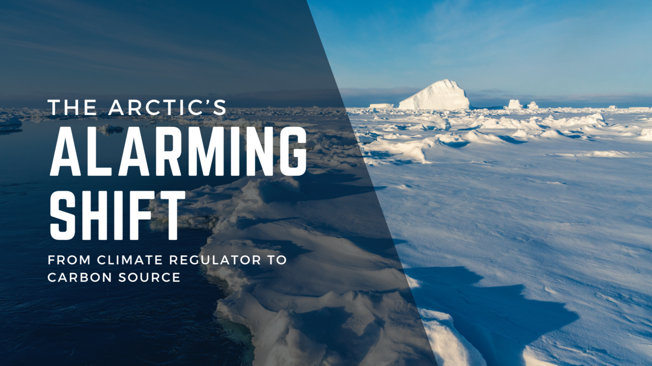 The Arctic's Alarming Shift: From Climate Regulator to Carbon Source 