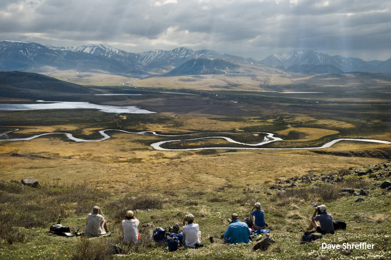 In The Western Arctic, Big Things Have Small Beginnings