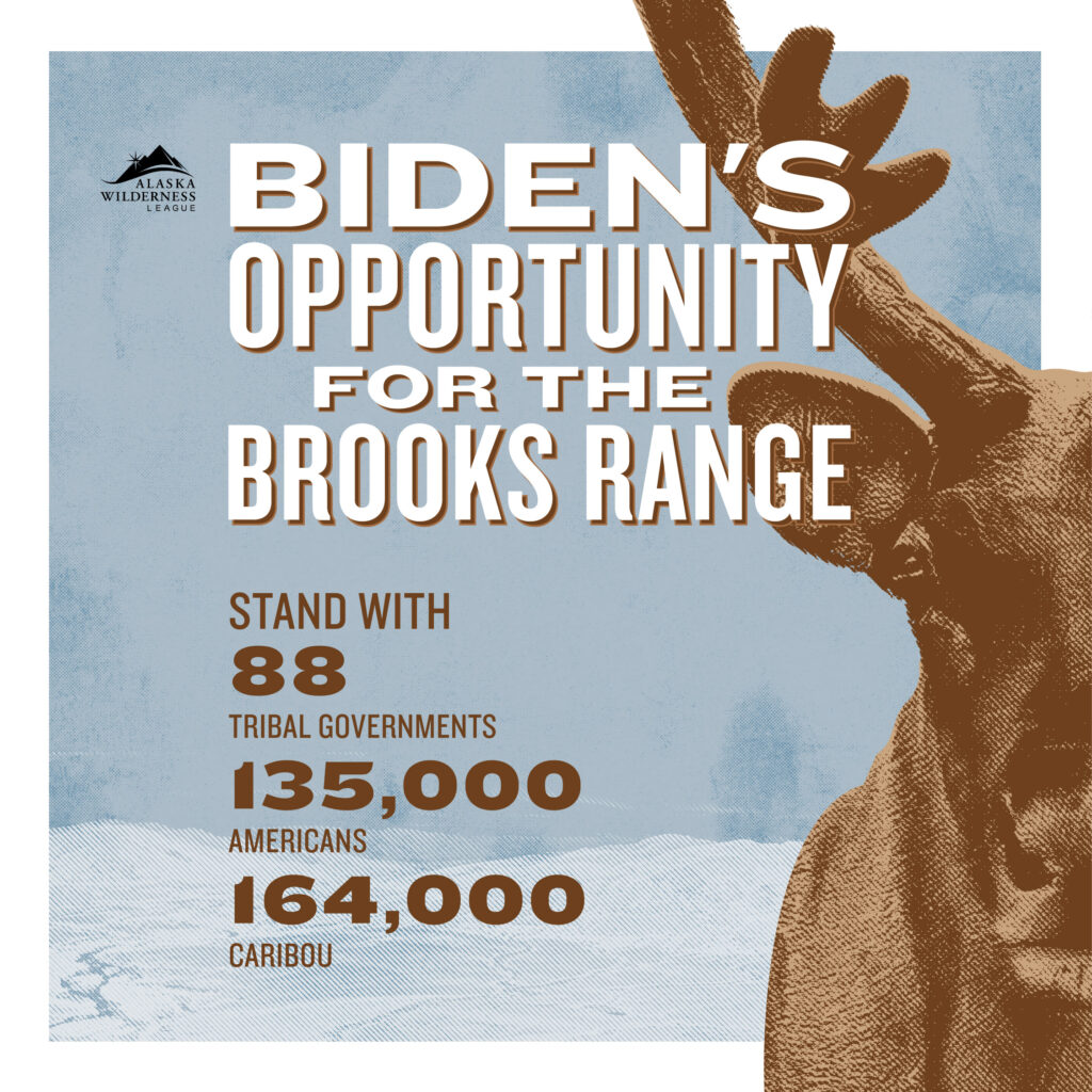 What to Know About the Ambler Road Project