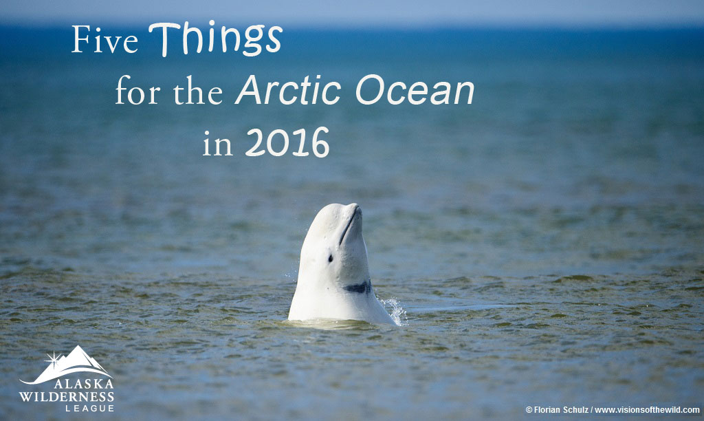 The Top 5 Things We Want For The Arctic Ocean In 2016