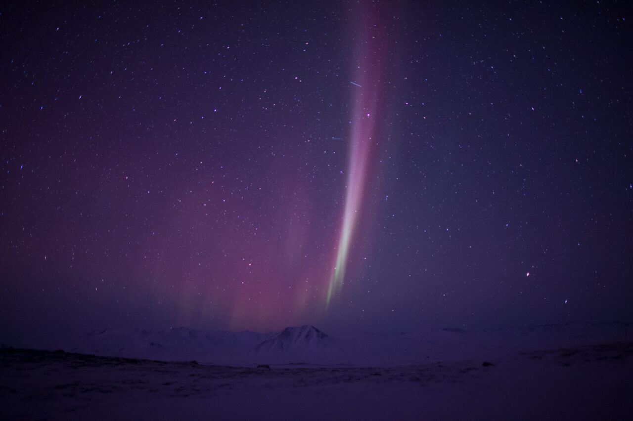 After Failed Lease Sales, Alaska Again Gambles Public Money on Arctic Oil 