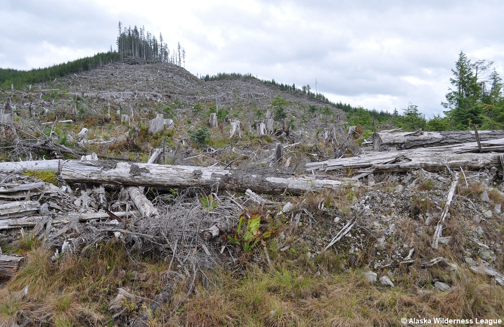 Don’t Judge A Book By Its Cover. And Don’t Judge A Bill By Its Name.