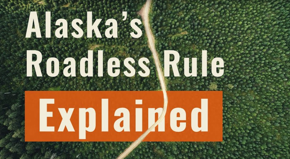 Alaska's national forests and the Roadless Rule, explained