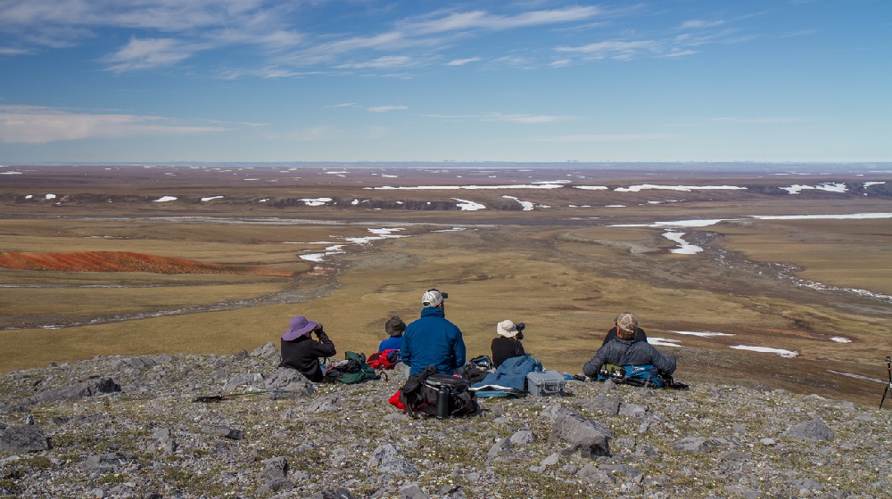 Exploring An Arctic Nursery