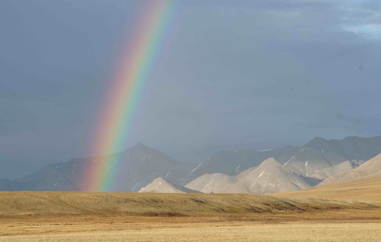 Press Release: Corporations Continue to Walk Away from Leases to Drill in the Arctic Refuge