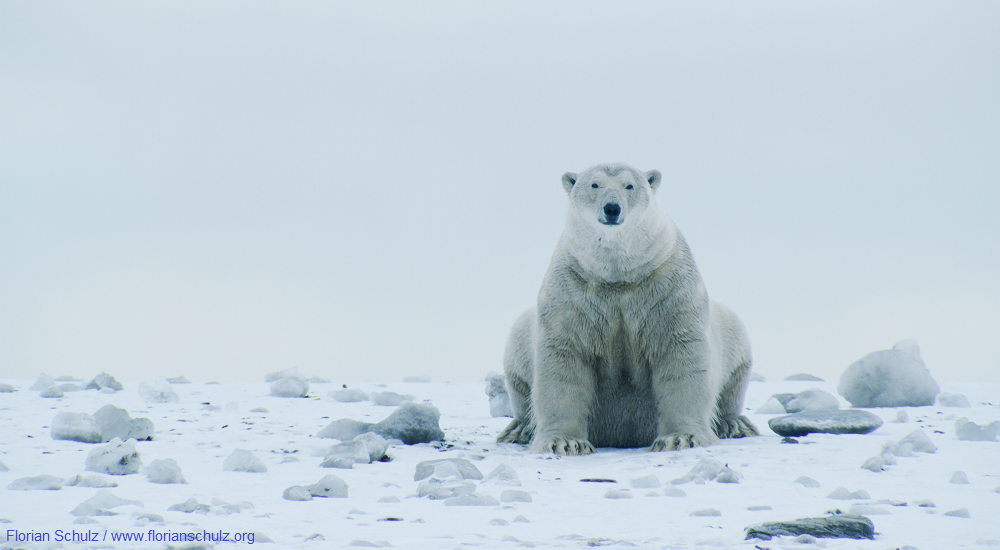 Hope In The Fight For Climate Justice