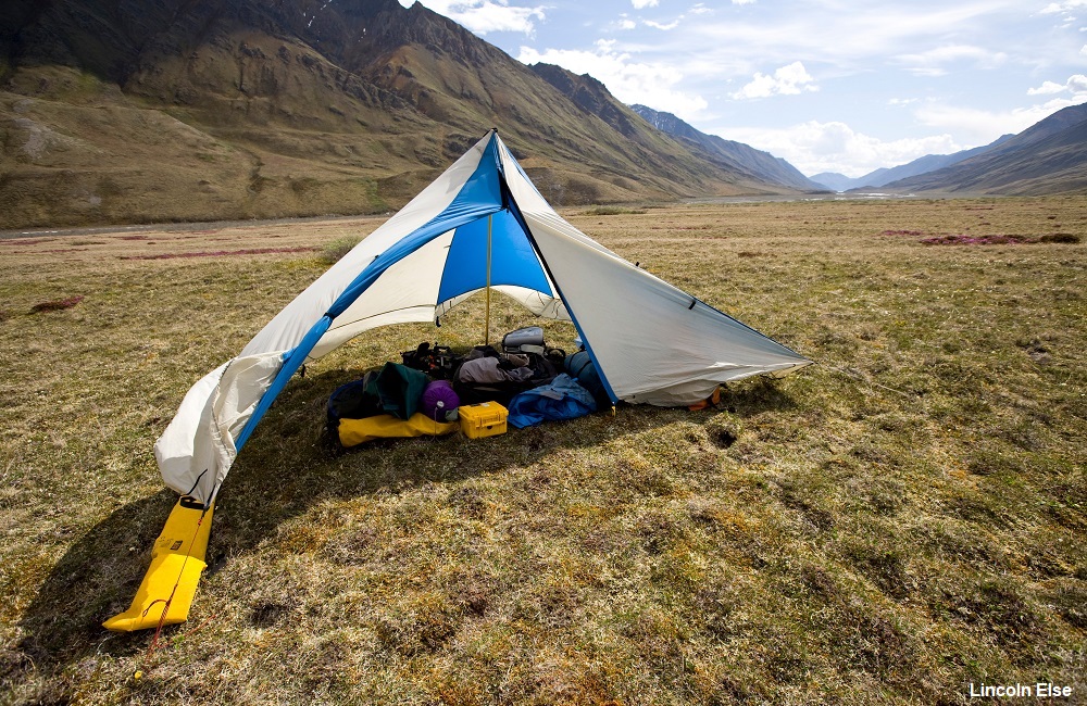 America’s Serengeti Needs Your Help