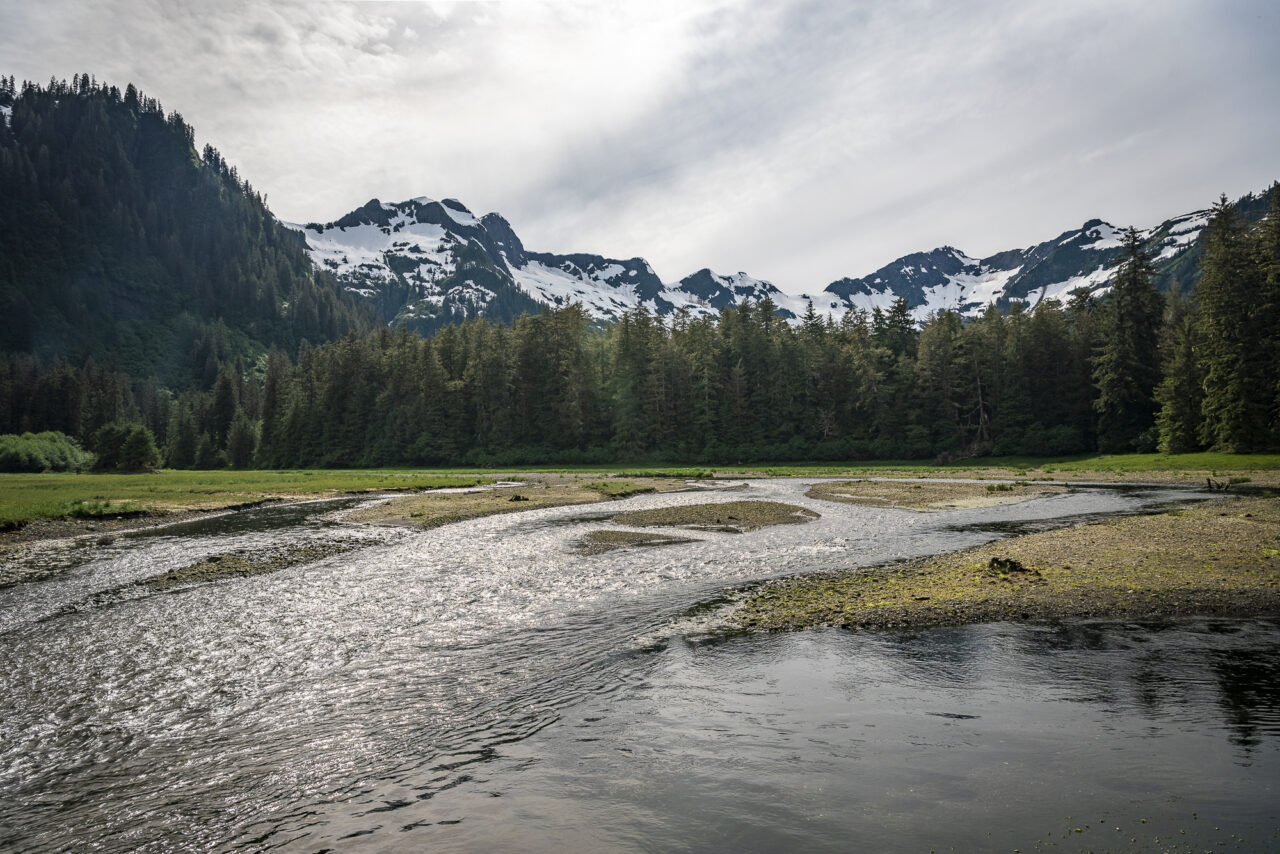 Trump Administration Moves to Roll Back Popular Roadless Rule, Threatening Alaska’s Tongass, Chugach, and National Forests Nationwide 