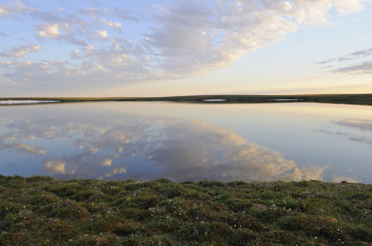 Proposed Land Exchange in Izembek National Wildlife Refuge Raises Legal Questions