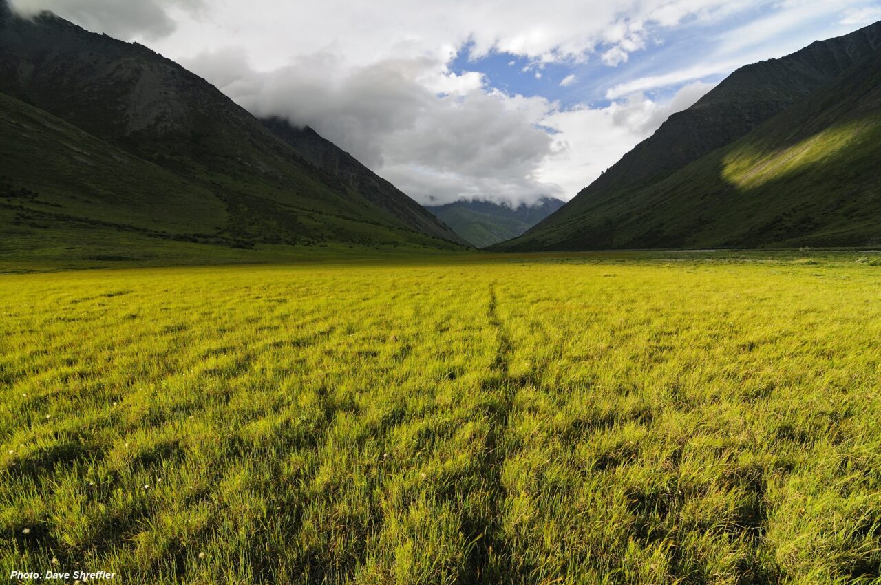 Arctic Advocates Come To Washington