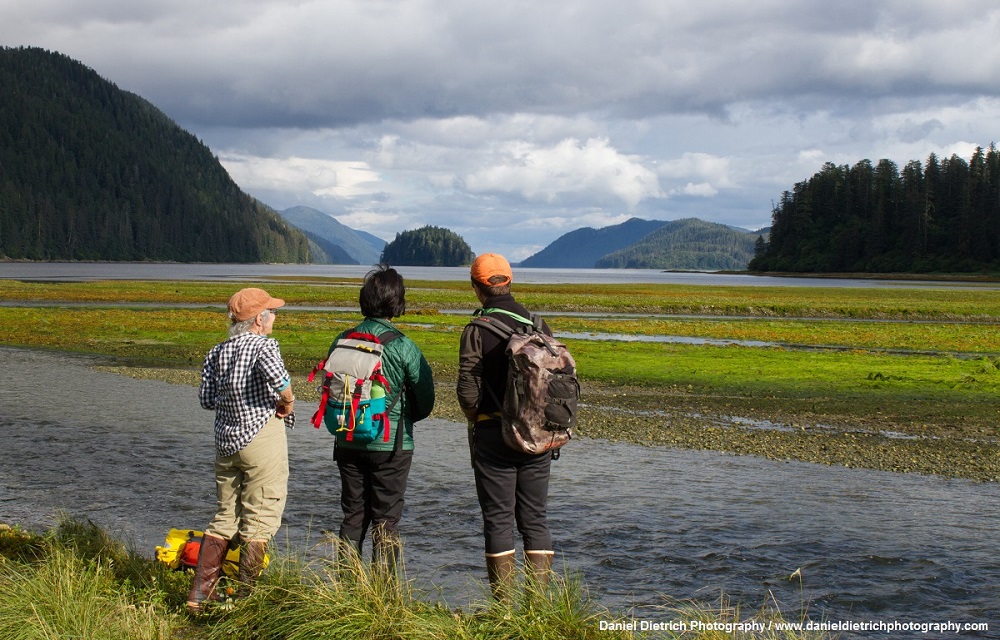 Save Our Roadless Forest