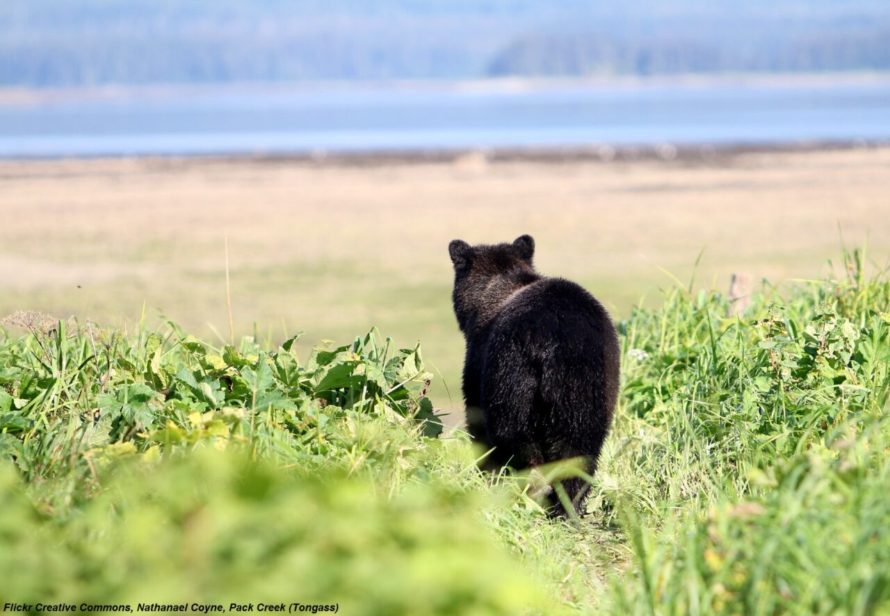 On A Floatplane In Alaska