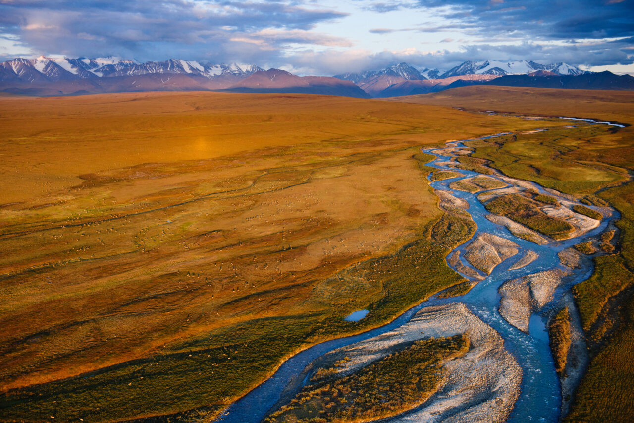 Press Release: Congressional Leaders Introduce Arctic Refuge Protection Bill 