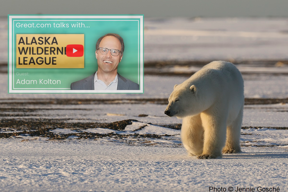 Great.com talks with… Alaska Wilderness League