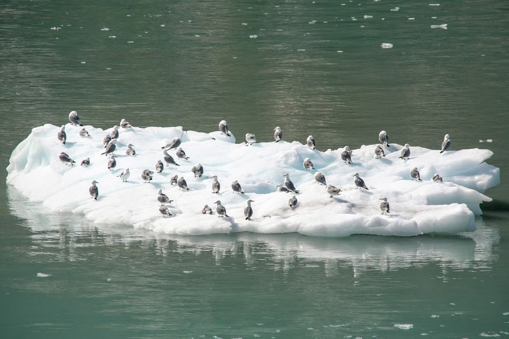 Where late the sweet birds sang