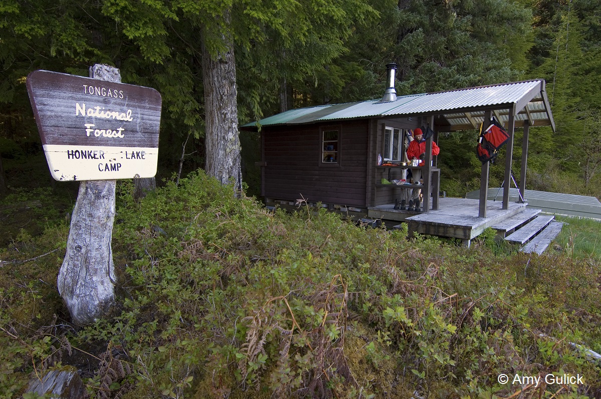 On its 20th anniversary, new bill would write Roadless Rule into law