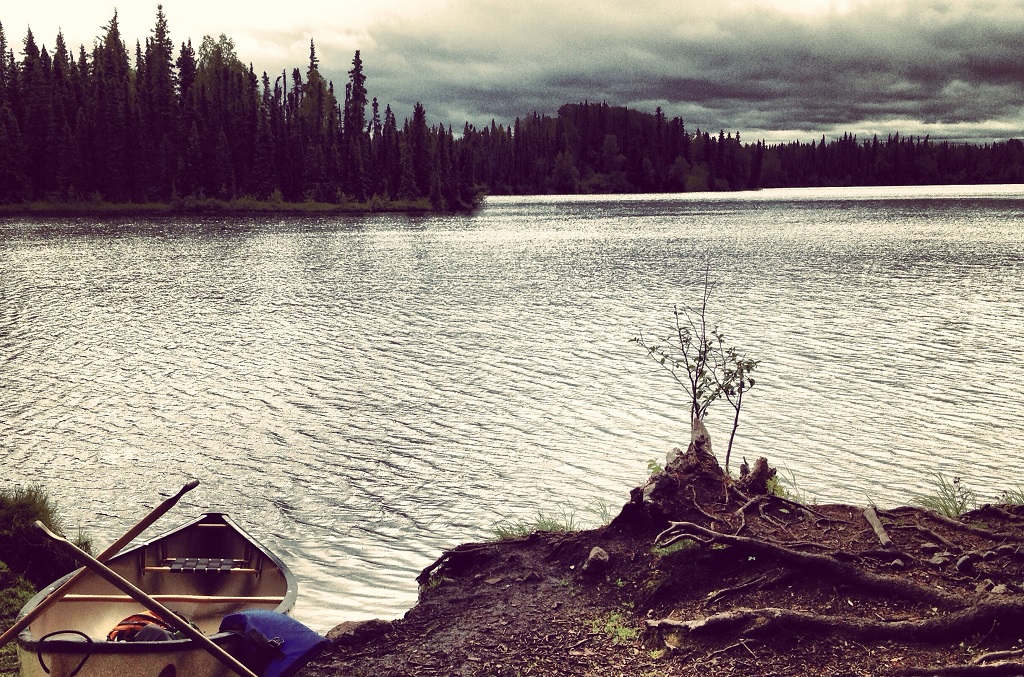 Paddlefest in the Kenai National Wildlife Refuge