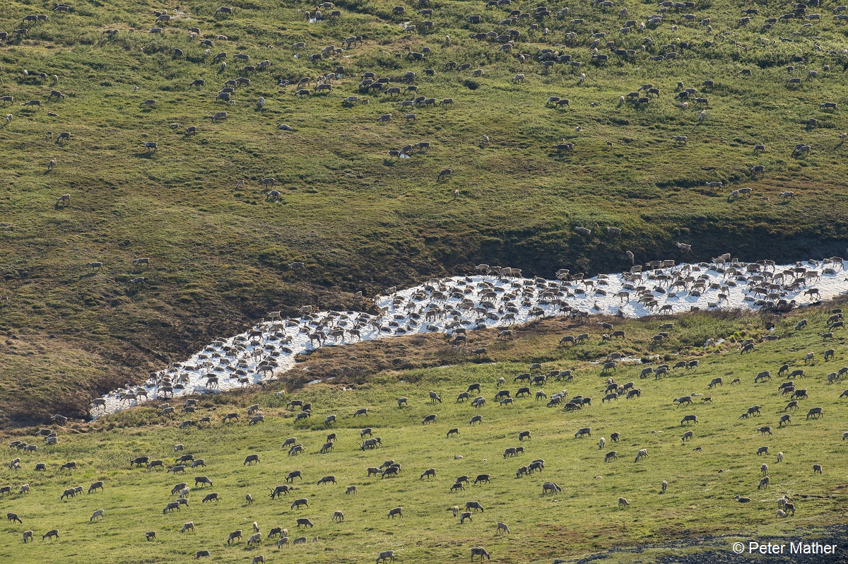A new day in Washington, D.C., a new day for Alaska