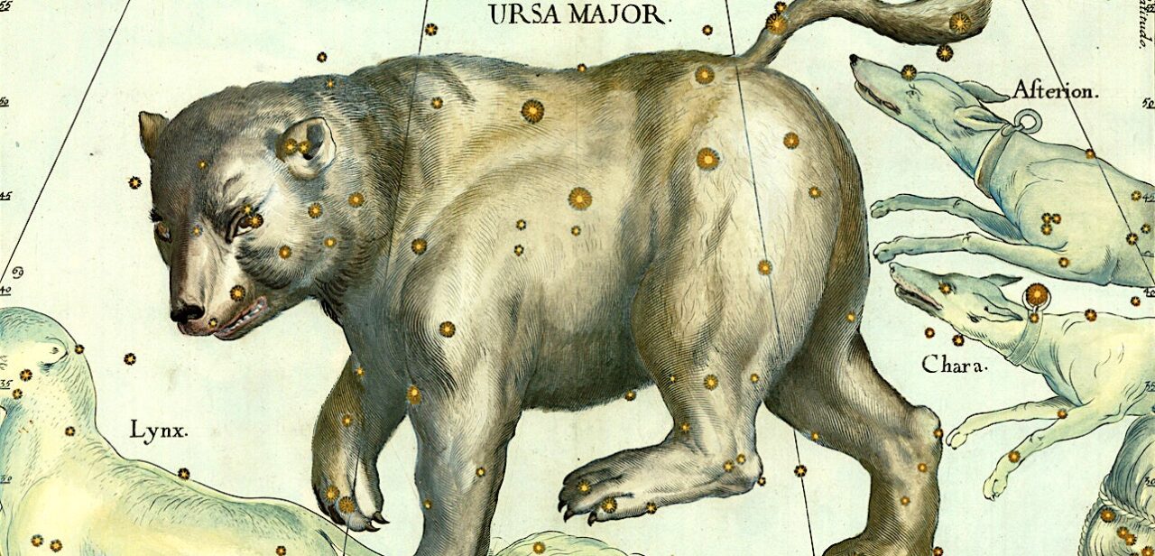 Here Be White Bears: The Arctic’s Pale Predators