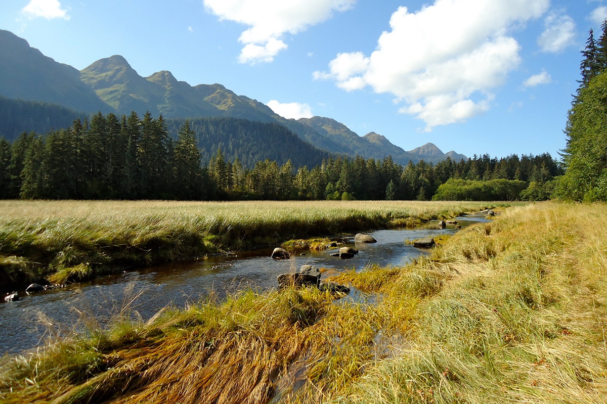 Create jobs and solve climate change through nature-based infrastructure