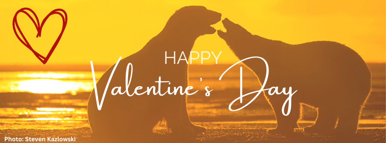 Your Love Has Kept Alaska Wild