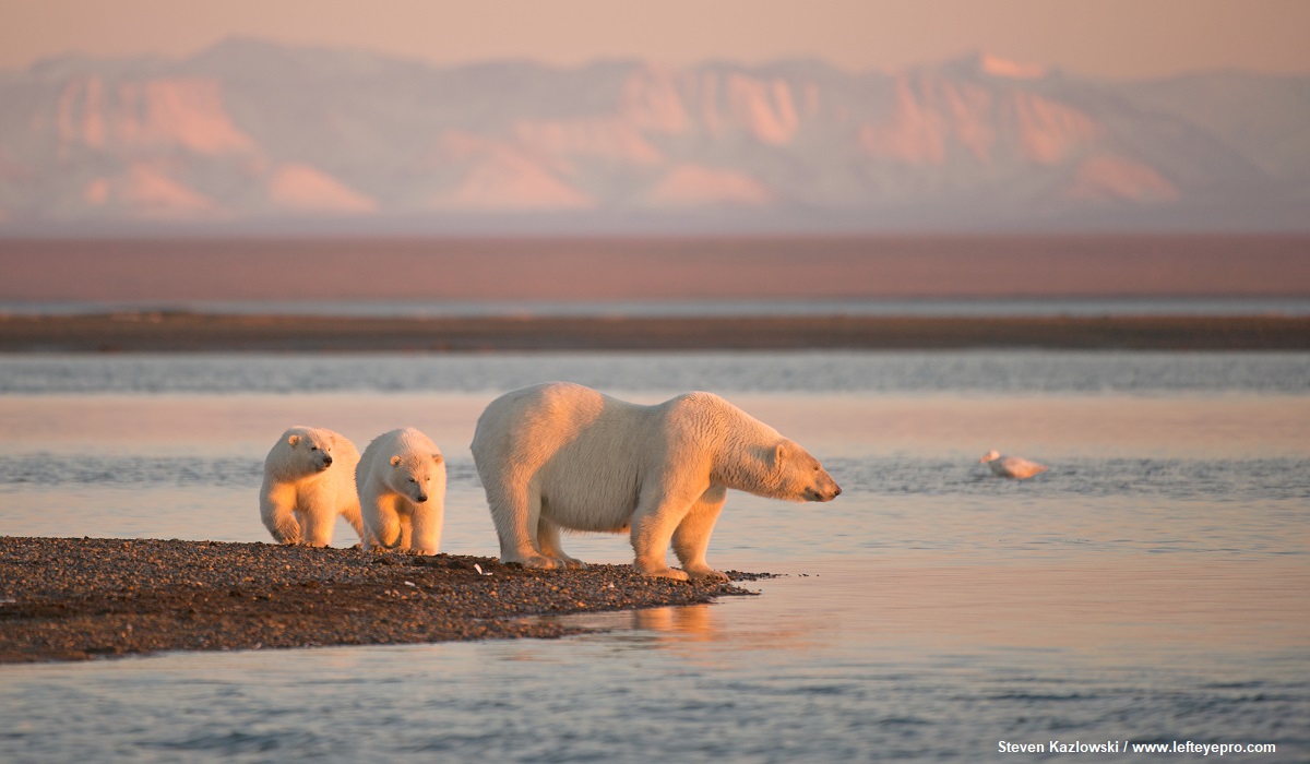 Murkowski’s Broken Promises Continue To Grow