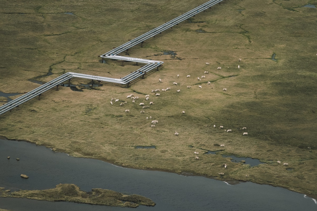 Arctic Alaska won't solve high gas prices, but it can help the U.S. achieve its climate goals