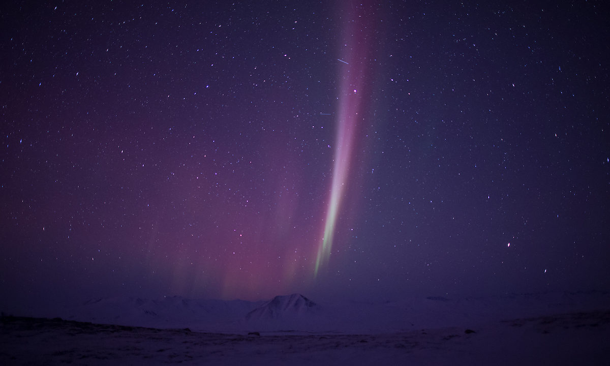 We Will Never Stop Fighting To Protect The Arctic