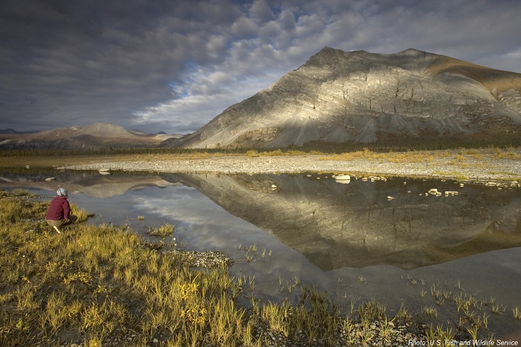 I Heart The Arctic National Wildlife Refuge; Here’s Why You Should Too