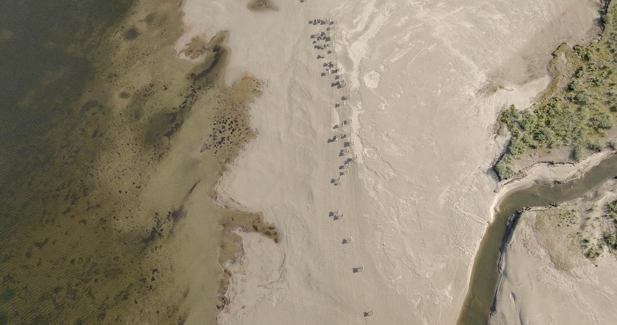 Alaska Wilderness League Opposes Congressional Attack on Common Sense Protections for Western Arctic