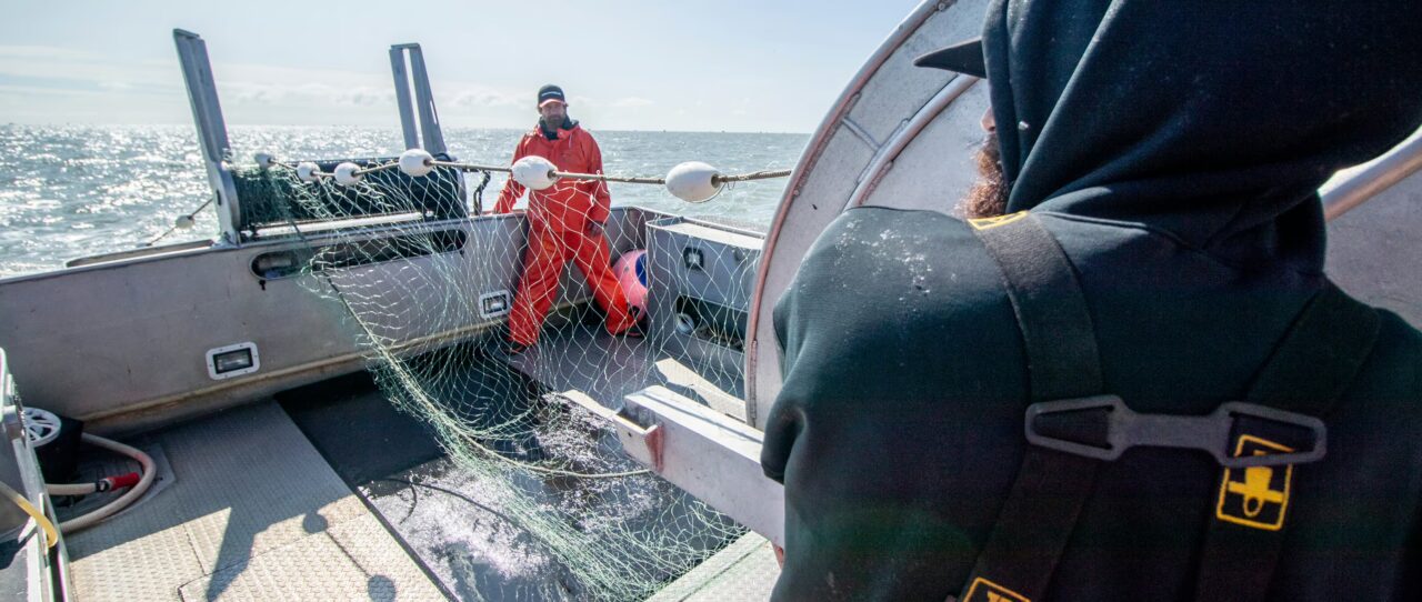 Bristol Bay Fishing
