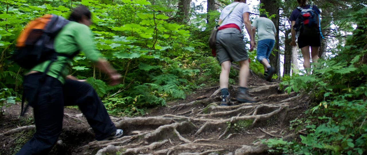 People of the Tongass