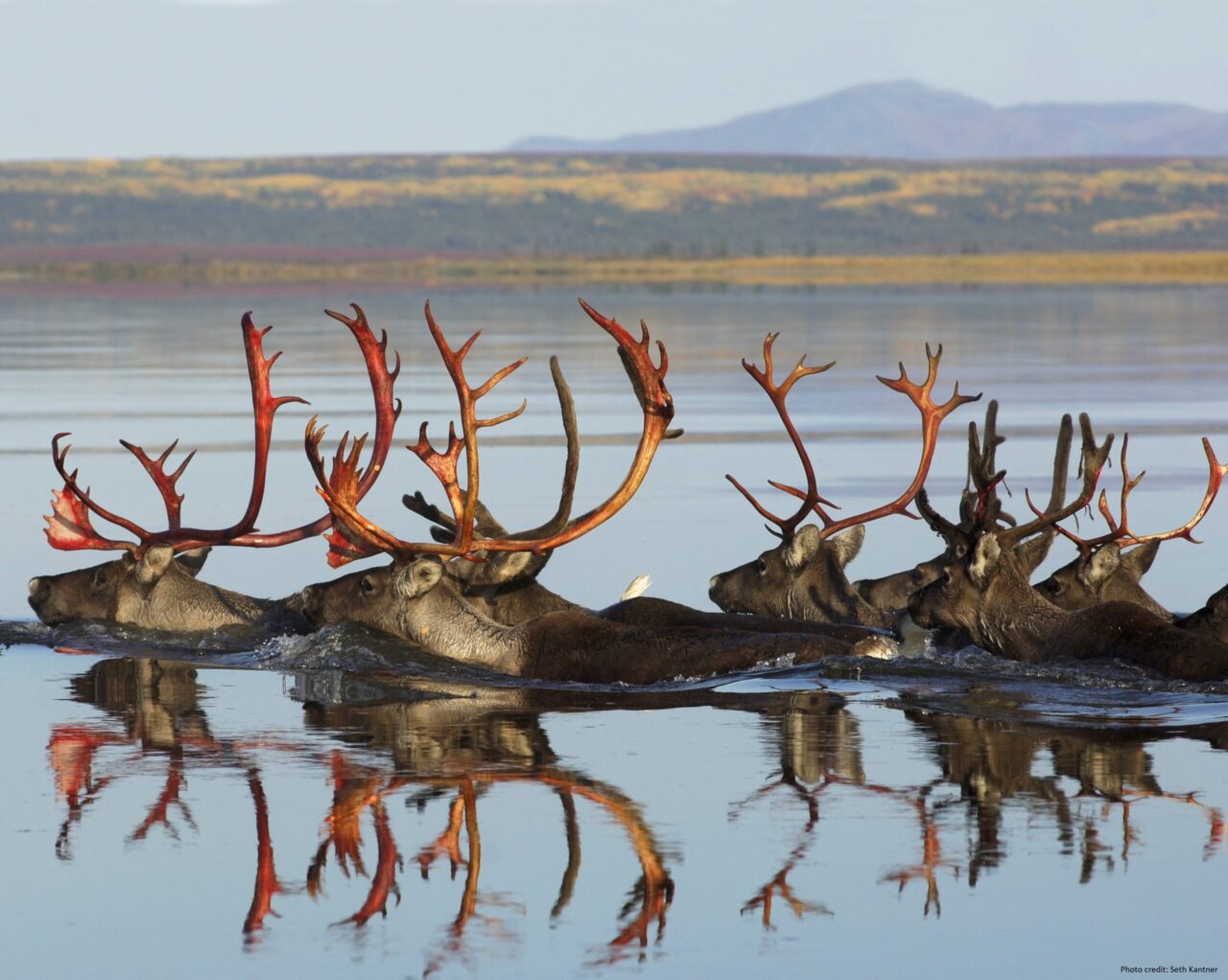 OPINION: Speaking up on subsistence, even in the face of an industrial juggernaut