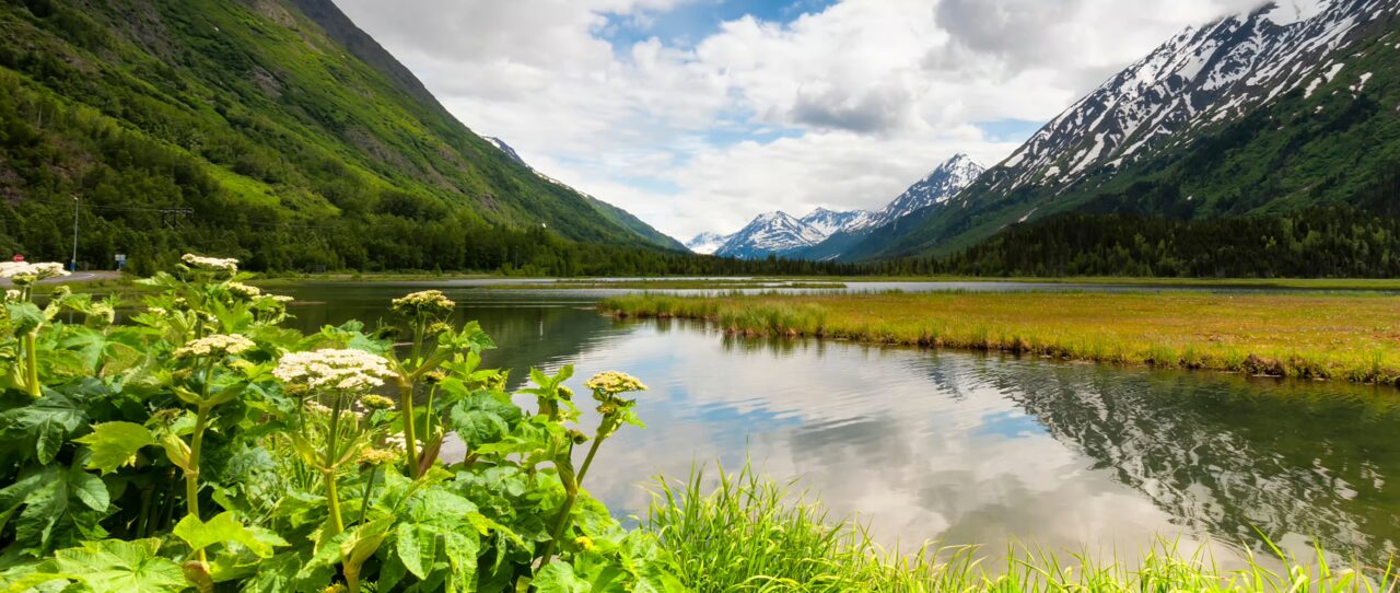 Chugach National Forest Wetlands