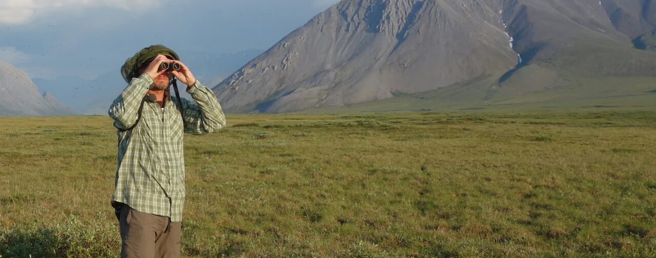 Person using binoculars