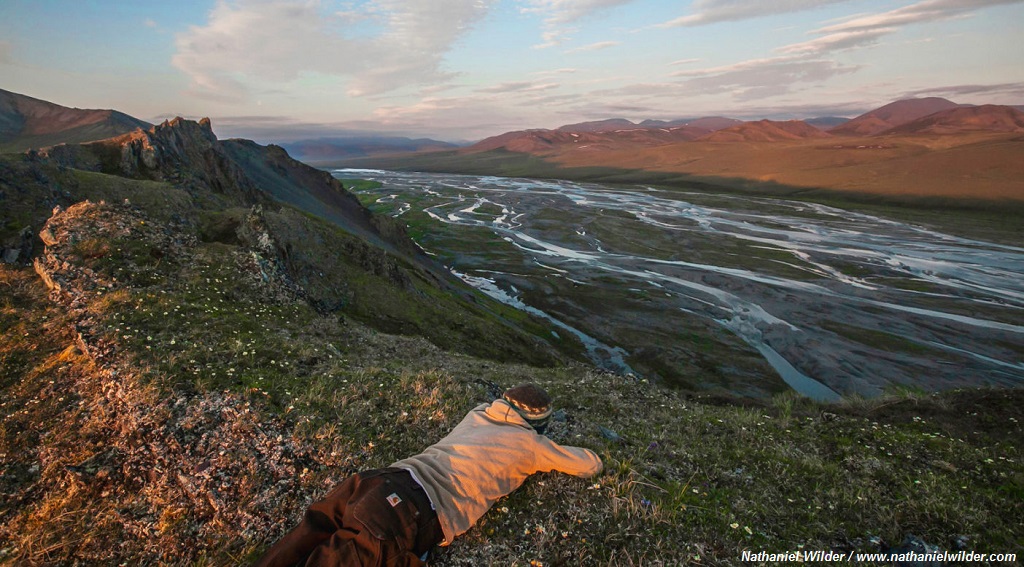 When I First Fell For The Arctic