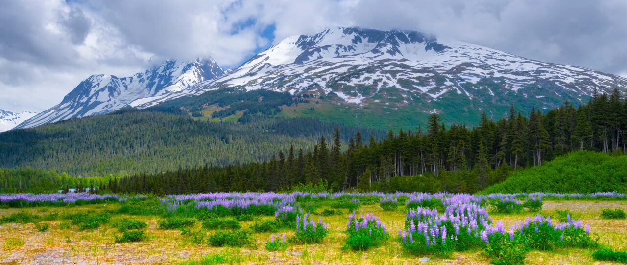 Chugach National Forest