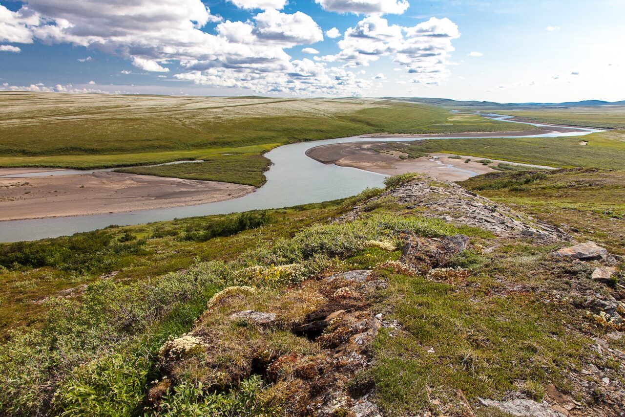 Lease Sale Announcement in Western Arctic