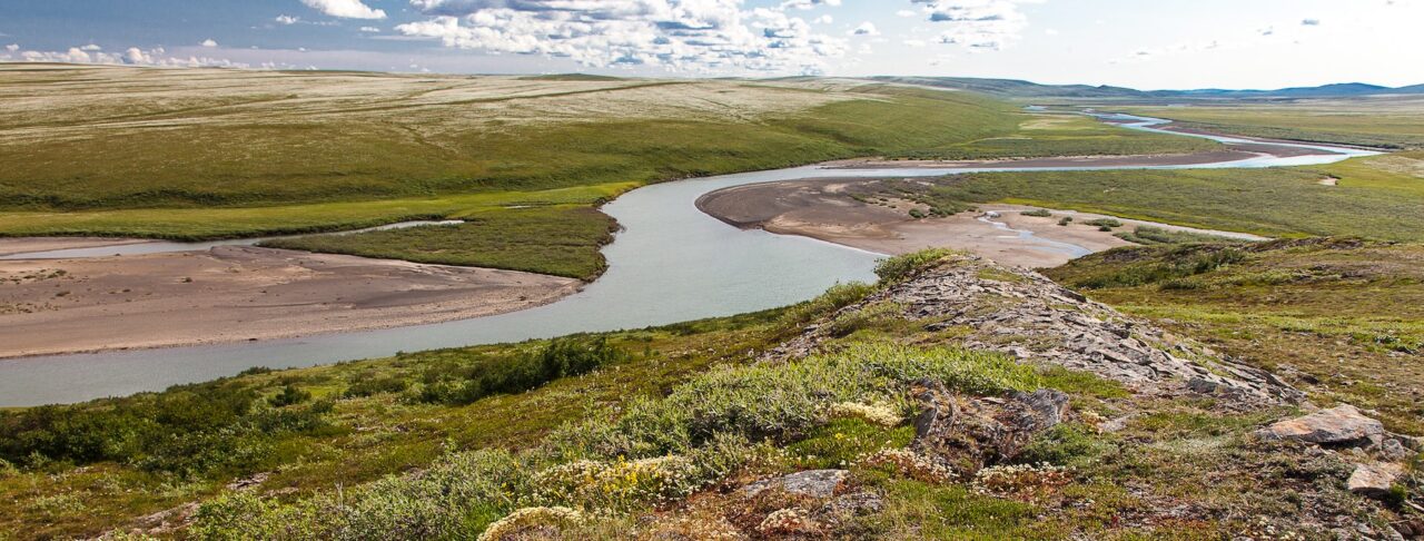 Lease Sale Announcement in Western Arctic