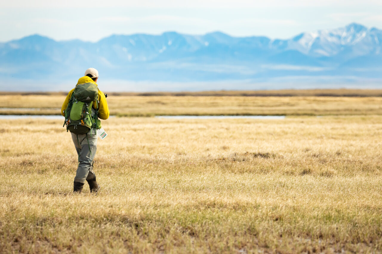 How You Can Stop Drilling in the Arctic Refuge