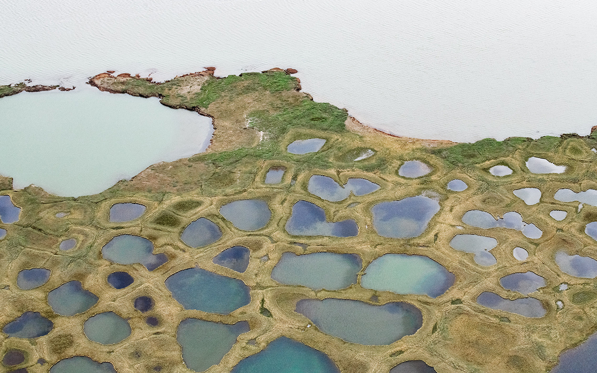 Oil Corporations Move on Western Arctic