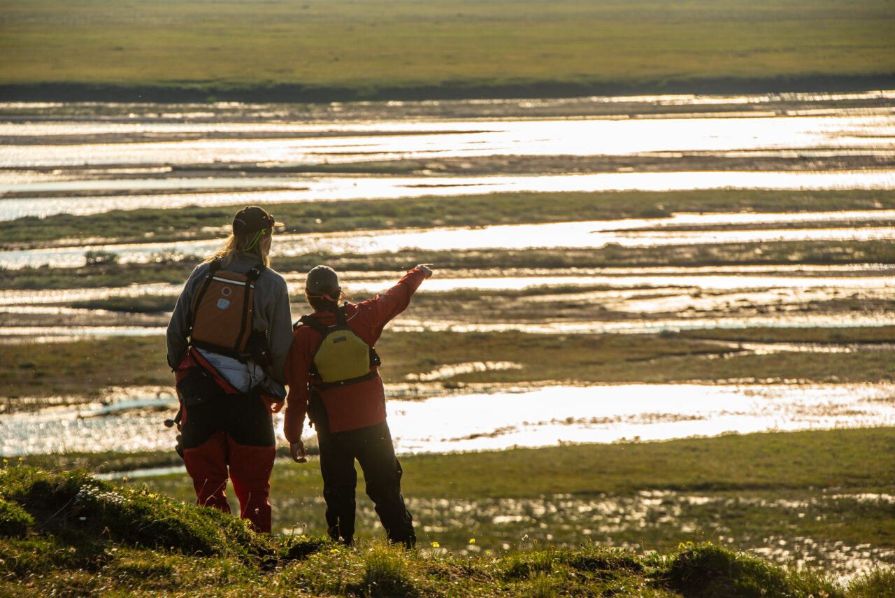 Why You Can’t Just “Bid to Protect” the Arctic Refuge 